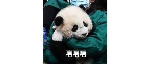 关于这个名字的十大槽点