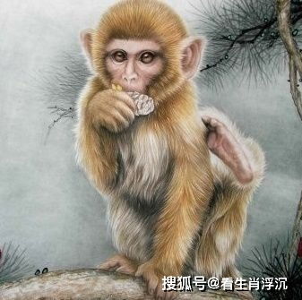 1968年属猴人在2026年的运势具体如何？