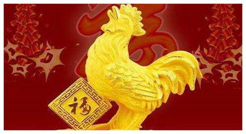 1981年属鸡的女人命运特点是什么？