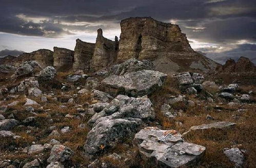 山崩地裂这一自然现象中，是否曾解救出某个特定的生肖？