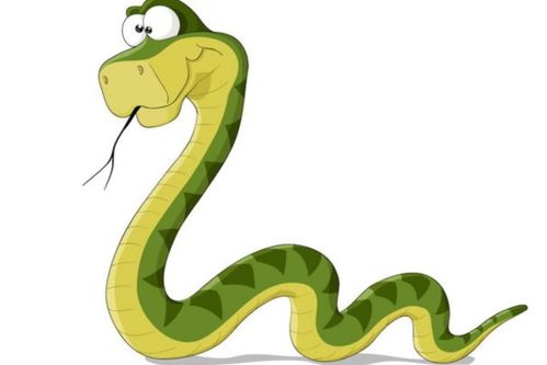 2026年属蛇人的财运如何，其旺财方位又在哪里？