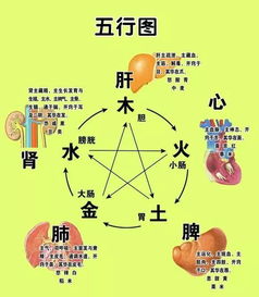 金克木：肃降制约横逆