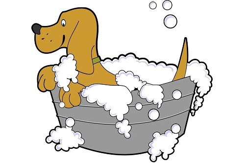 94年属狗男性今年婚姻运势如何，面临的问题严重吗？