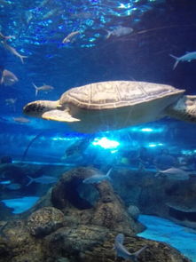 交通玄学！这样走能遇见桃花！