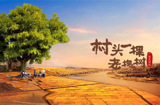 一、  现象的初步认知与村民反应