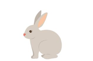 1999年属兔男性2026年运势和2025年运势大全具体内容是什么？