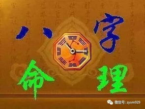 ：同年同月同日之命运探讨的学术框架