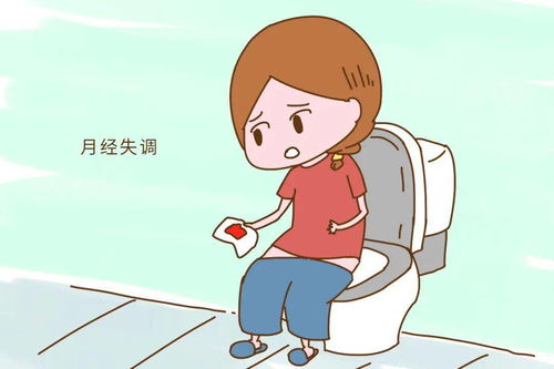 一些额外的提议