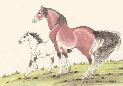 属马水瓶座2026年三月运势，2025年属马招财转运物件具体指什么？