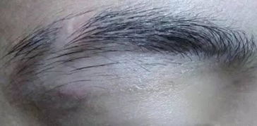 八字命理视角下的性格与命运分析