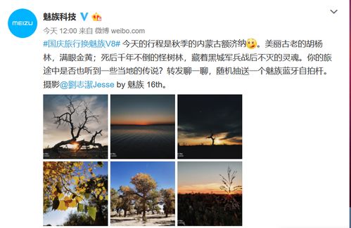 背景乱糟糟？那就让它梗乱！