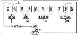 一、 视觉表现与媒体传播概况