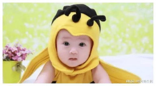 舒姓男孩名字中带有舒字，有没有三个字的名字适合作为男宝宝的名字呢？