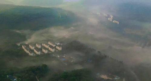 拯救烂湖大作战