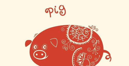 2024年属什么生肖，12生肖中的哪一年对应2024年？