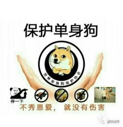 羊