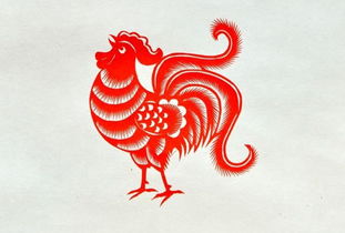 2026年属鸡的人佩戴什么吉祥物最旺财运？