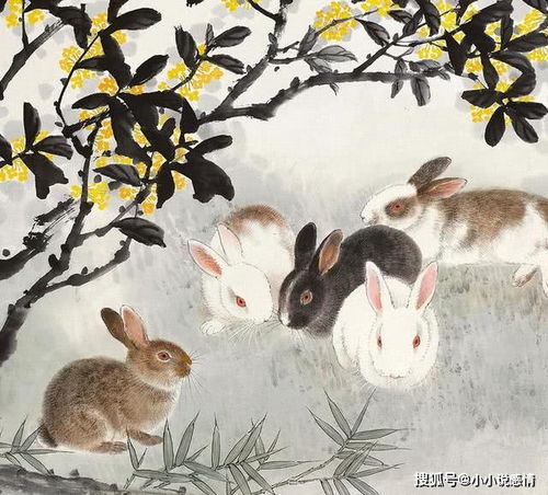 2026年属兔人的贵人运势如何，这一年会有哪些贵人相助？