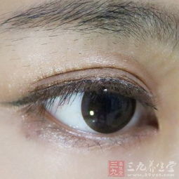第三章：综合解析与实证探究探讨