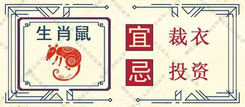 情感运势解析