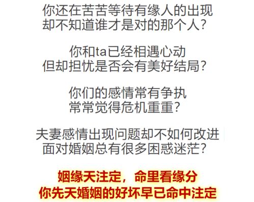 ：当星命学遇见恐婚时代