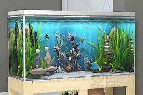 一、  文化图腾与象征意义：“年年有余”的深层隐喻