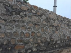 如何从风水角度分析埋坟墓时使用石龟的布局效果？