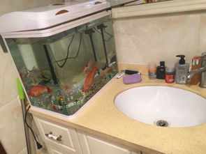 环境要素：通风、 照明、防滑处理