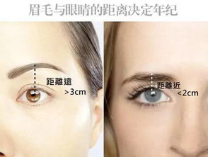 终极恐怖4：你的耳朵正在倒数你的生命