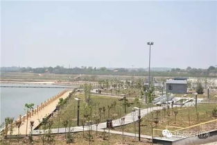 二、 改设湖景：可行性分析与潜在优势