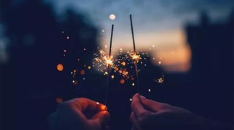 一、 故事情节的基石：悲剧背景与情感张力