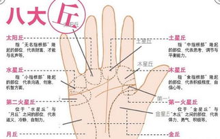 生肖学说对性欲能力的阐释