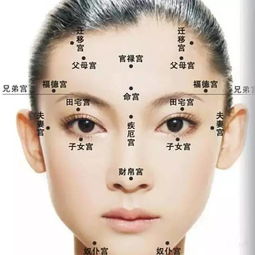 鼻部特征：大而肉厚之财运标记