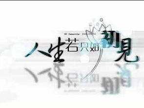 岁月流转中的回忆与情感