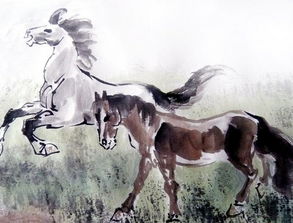 1990年属马10月19日运势中推荐的风水物件是什么？