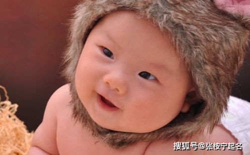 起名禁忌：避开老虎本体要害的字