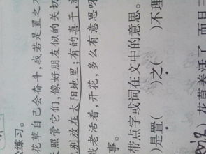 六、 “後”字组词典故及诗词解读——从经史到文学的纵深探析