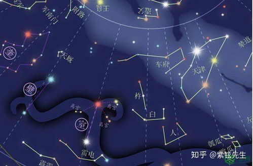 三、 化忌在不同宫位中的具体表现