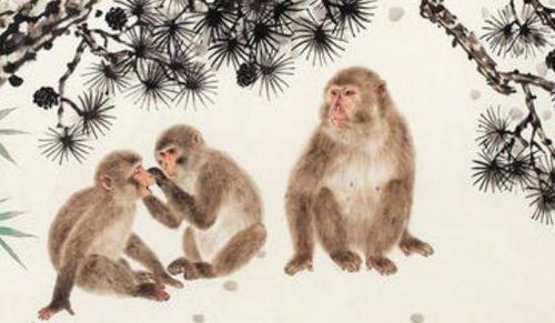 27岁：事业上升期的致命诱惑