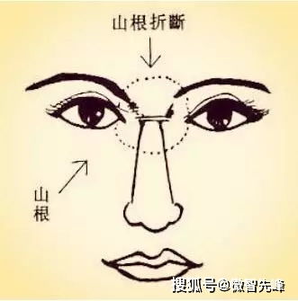 第三章：鼻头圆润与婚姻、 贵人运势的互动机制