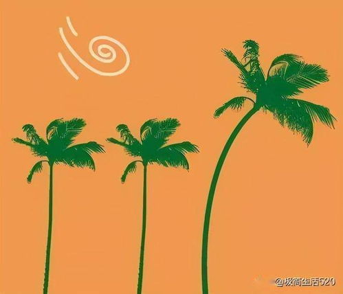 欲用钱买树上鸟，鸟飞高空，这生肖是哪位？