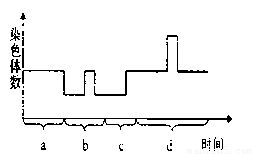 一、 幼体鼠类尾部形态的计量概述