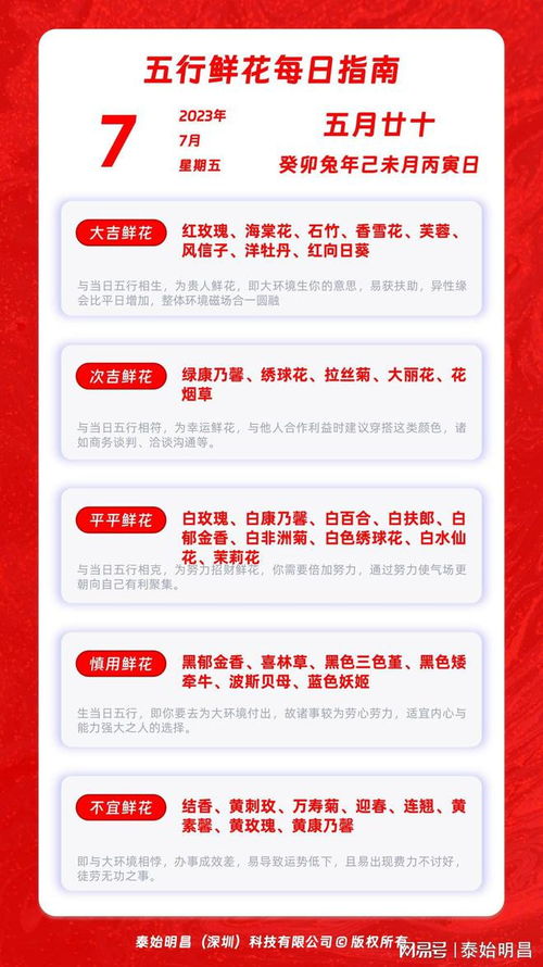 一、 探究背景及理论框架