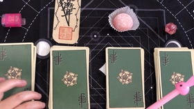 紫微斗数合婚可行性之学术阐释——基础篇