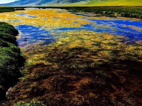 实地考察：我差点为了测海拔把腿跑断