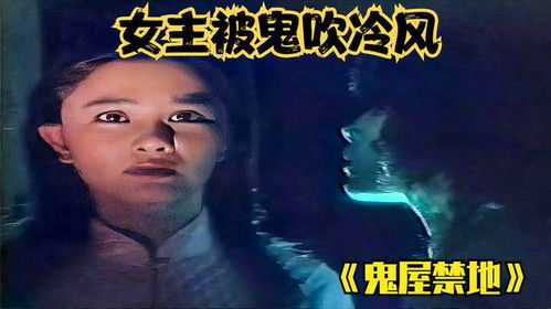 研究背景与问题提出