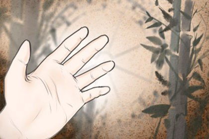 特殊掌组合与细微差别