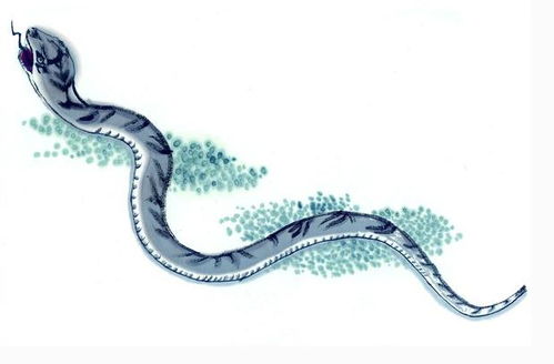 为什么不嫩用带“日”字的？（重要！）