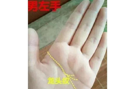 一、 时令与自然环境对决策时机的影响