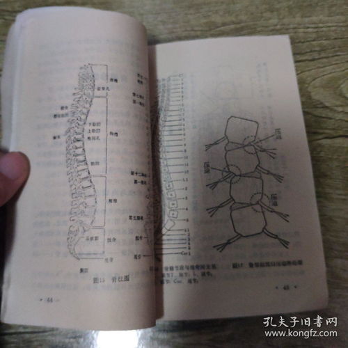 (注：外病法表格亦为示例性列举，如需完整细节请参照原始资料。）